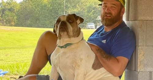 Jeremy Johnson Nelsonville, Ohio Death and Obituary Ohio Truck Crash Nelsonville Resident Jeremy Johnson Dies After Tractor-Trailer Overturns on SR 93