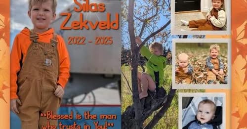 Silas Zekveld Strathroy, ON Farm Death and Obituary 3-Year-Old Silas Zekveld Dies in Tragic Farm Accident Near Strathroy, Ontario